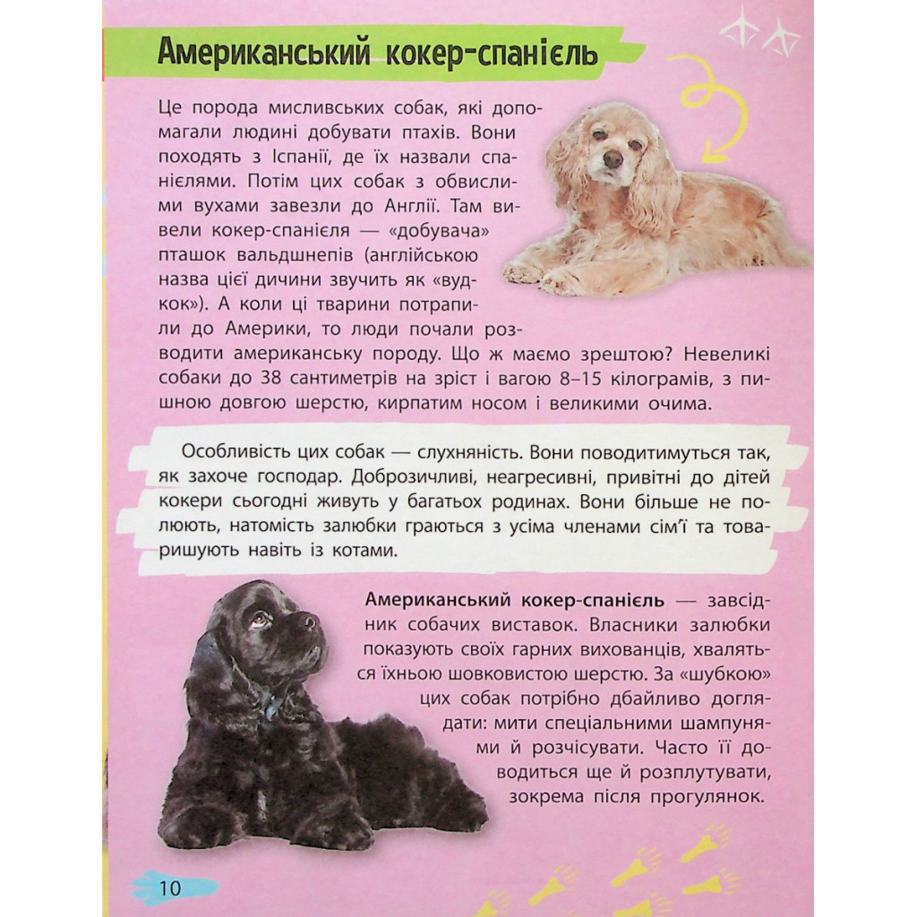 Книга Мініенциклопедія. Хатні улюбленці Vivat (9789669827241) - зображення 10