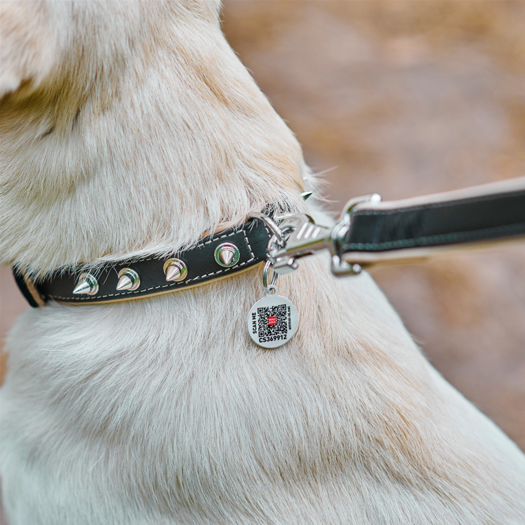 Нашийник для тварин WAUDOG Soft з QR паспортом з шипами Ш 20 мм Д 30-39 см чорний (7192) - зображення 5