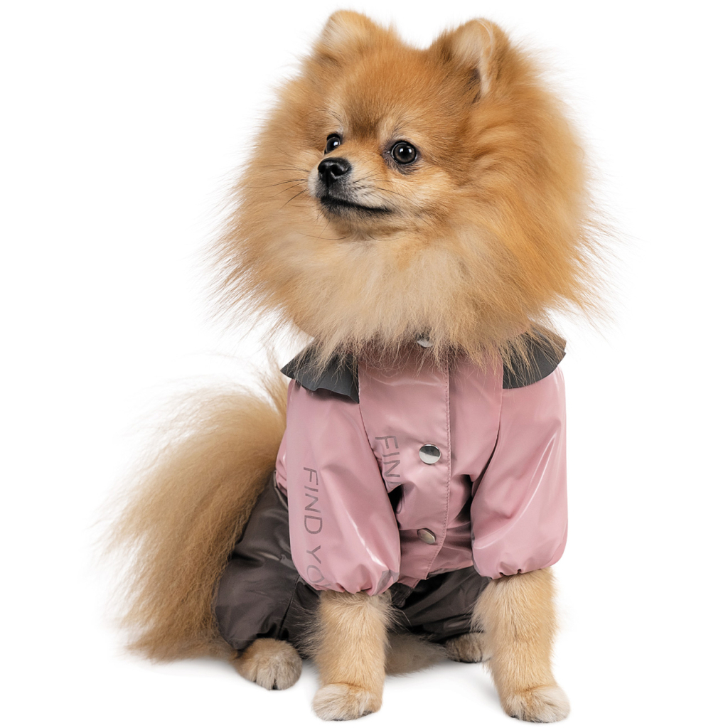 Дощовик для тварин Pet Fashion ARIEL ХS2 (4823082429851) - зображення 2