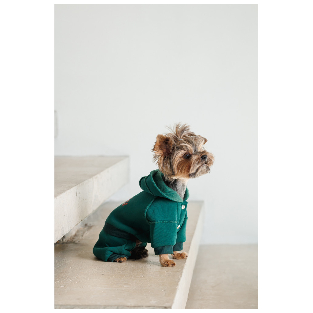 Костюм для тварин Pet Fashion Berry XS2 (4823082437597) - зображення 6
