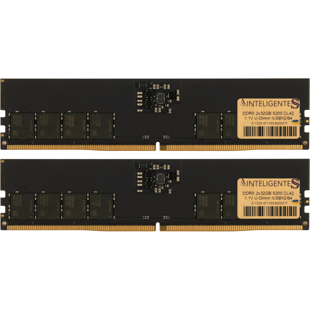 Модуль пам'яті для комп'ютера DDR5 64GB (2x32GB) 5200 MHz INTELIGENTES (IU5BII2/64) - зображення 1
