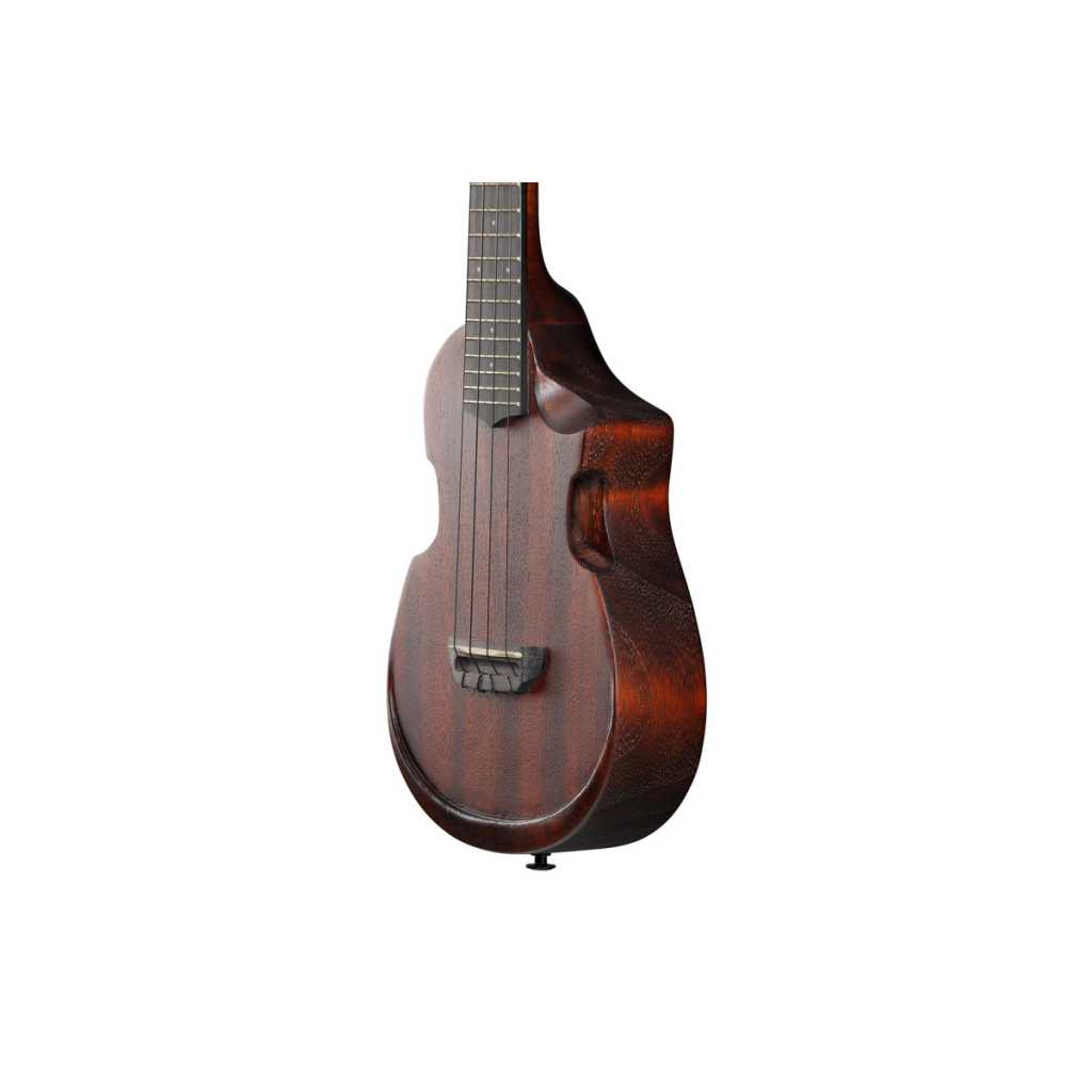 Укулеле Ibanez AUC14 OVL (234982) - изображение 5