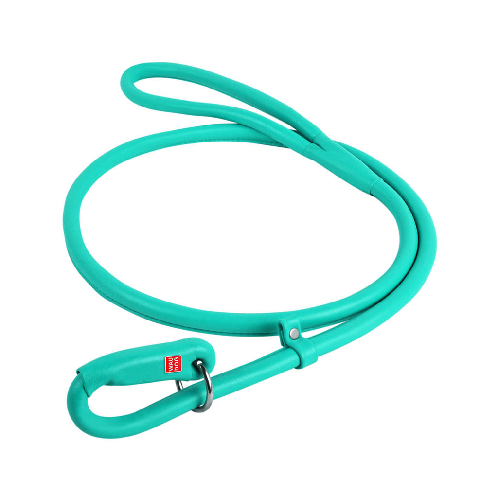 Повідець для собак WAUDOG "GLAMOUR" круглий Ш 13 мм, Д 135 см ментоловий (339613) - зображення 1