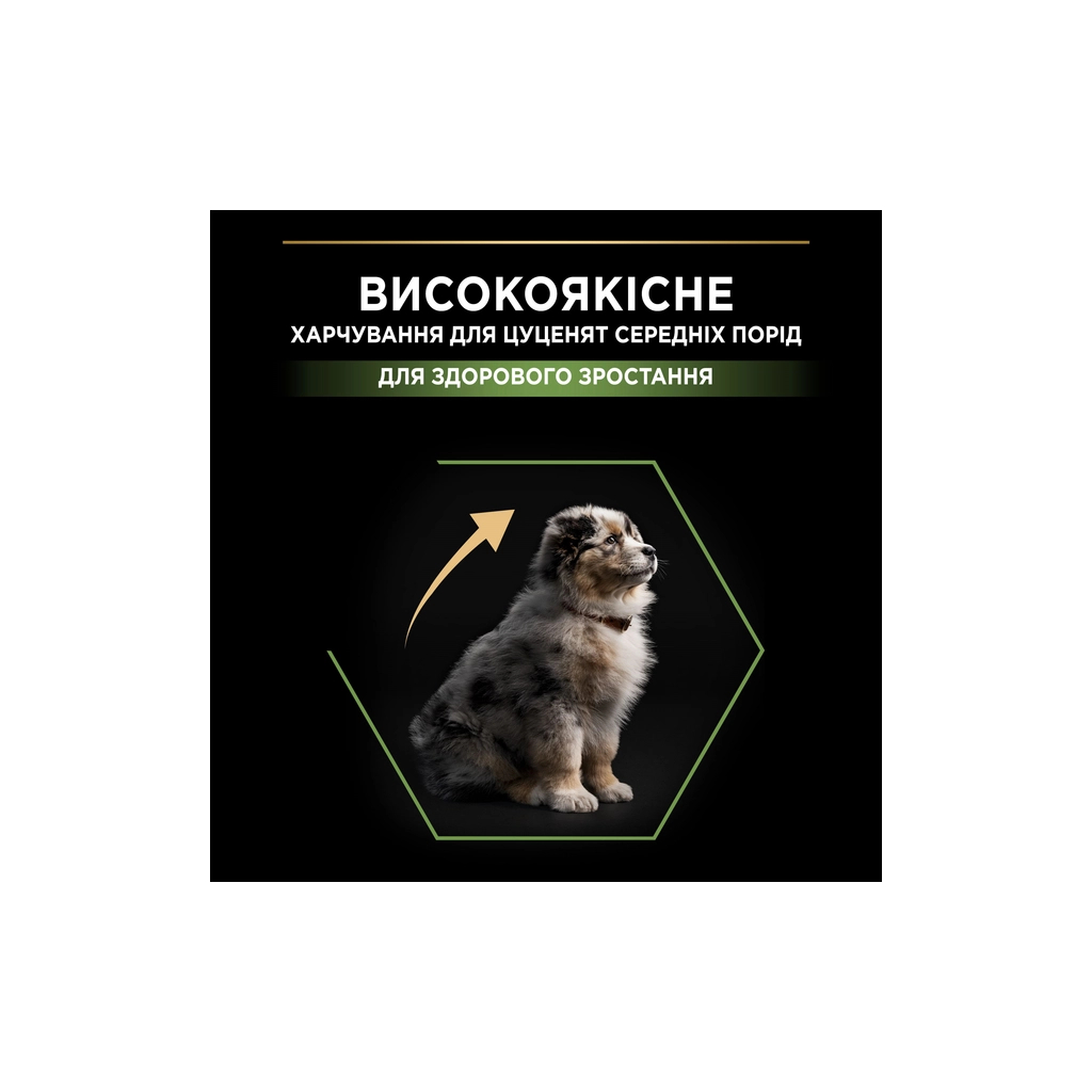 Сухий корм для собак Purina Pro Plan Dog Medium Puppy з високим вмістом курки 12 кг (7613035120402) - зображення 5