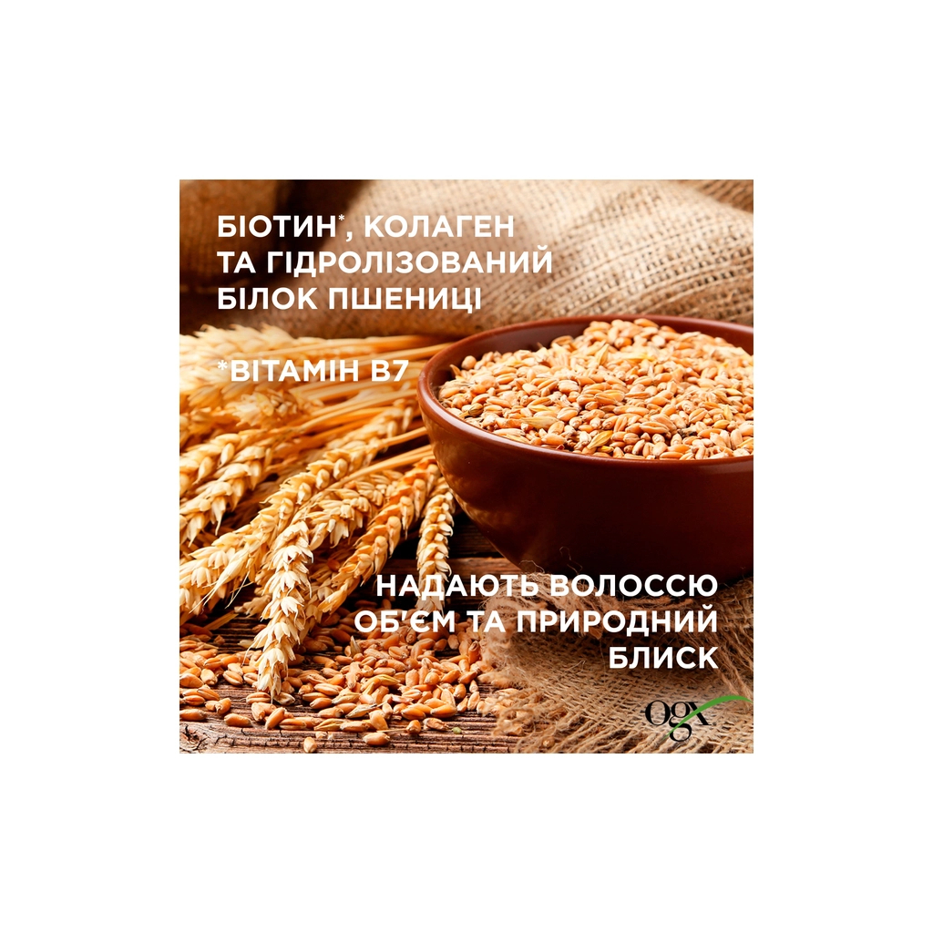 Набір косметики OGX Біотинова формула з колагеном для об'єму та зміцнення волосся Шампунь + Кондиціонер (3574661864952) - picture 5