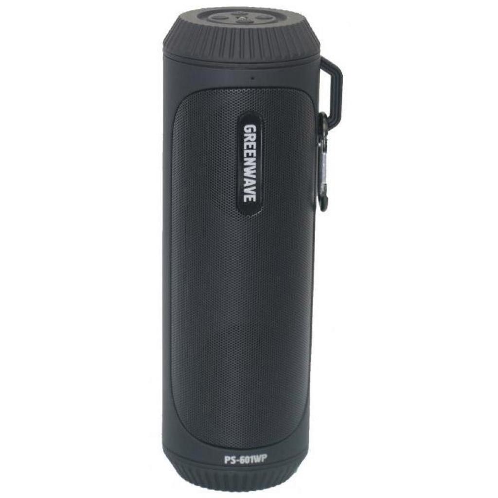 Акустична система Greenwave PS-601WP black (R0015299) - зображення 1