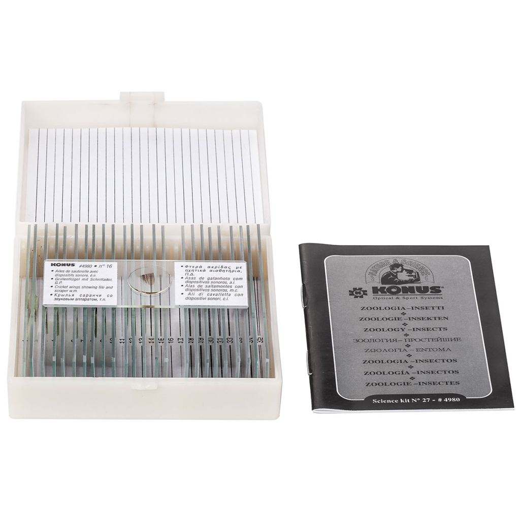 Набір мікропрепаратів Konus Зоологія Комахи 25 шт (4980) - зображення 4