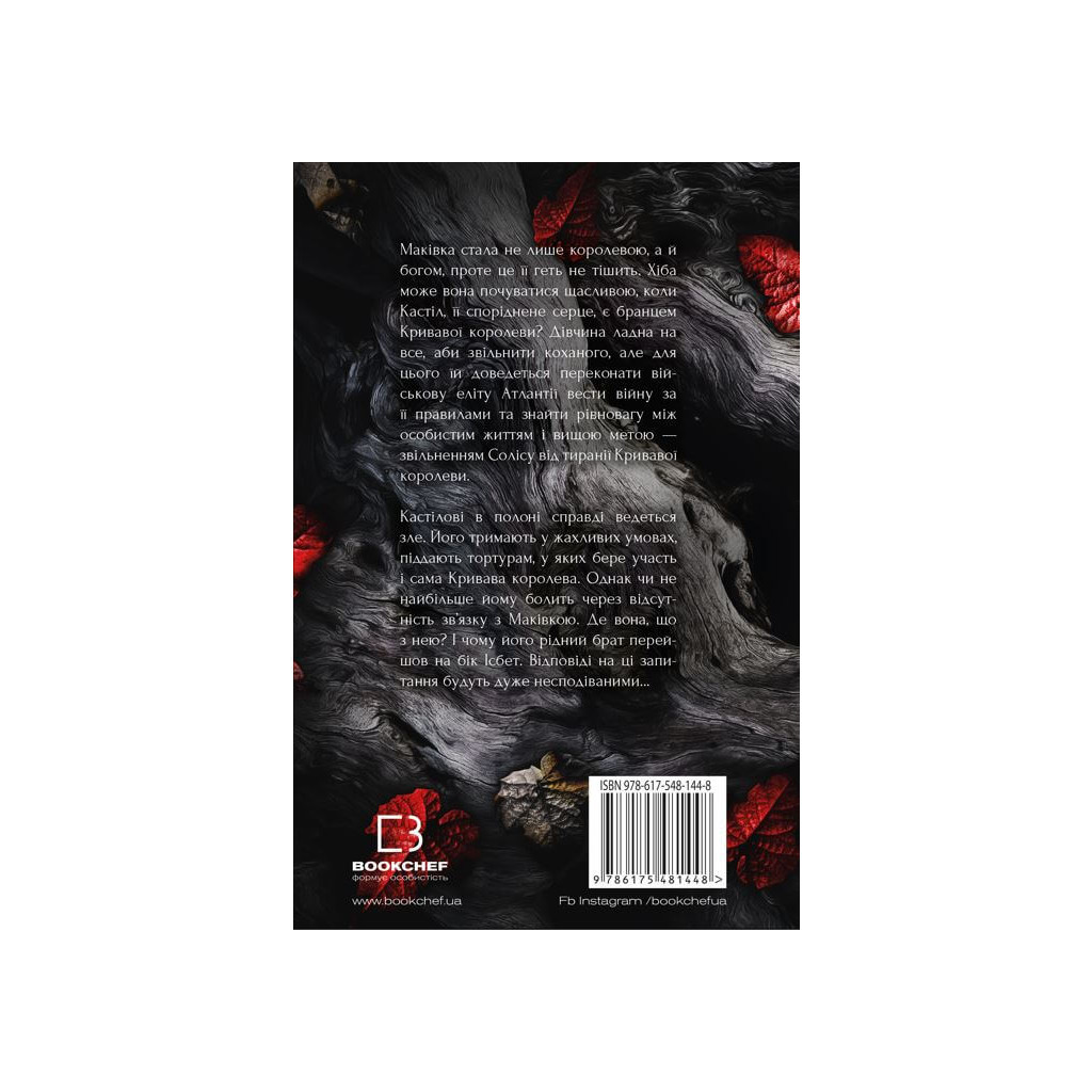 Книга Кров і попіл: Війна двох королев - Дженніфер Л. Арментраут BookChef (9786175481448) - зображення 3