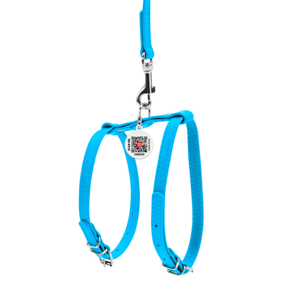 Шлея для собак WAUDOG Glamour з повідцем шкіряна Ш 9 мм А 20-30 см В 30-40 см блакитна (33992) - зображення 2