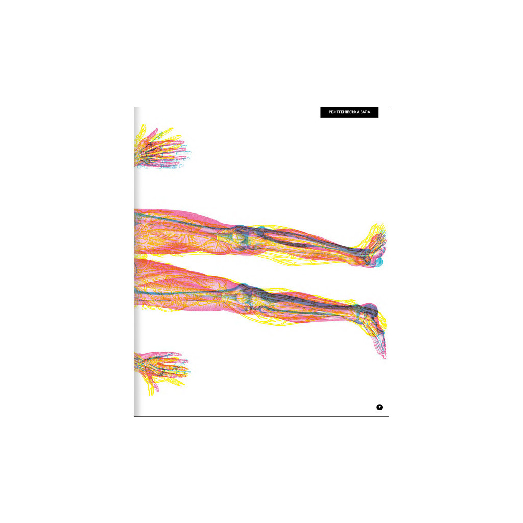 Книга Прихований світ людського тіла - Кейт Дейвіс #книголав (9786177820504) - зображення 7