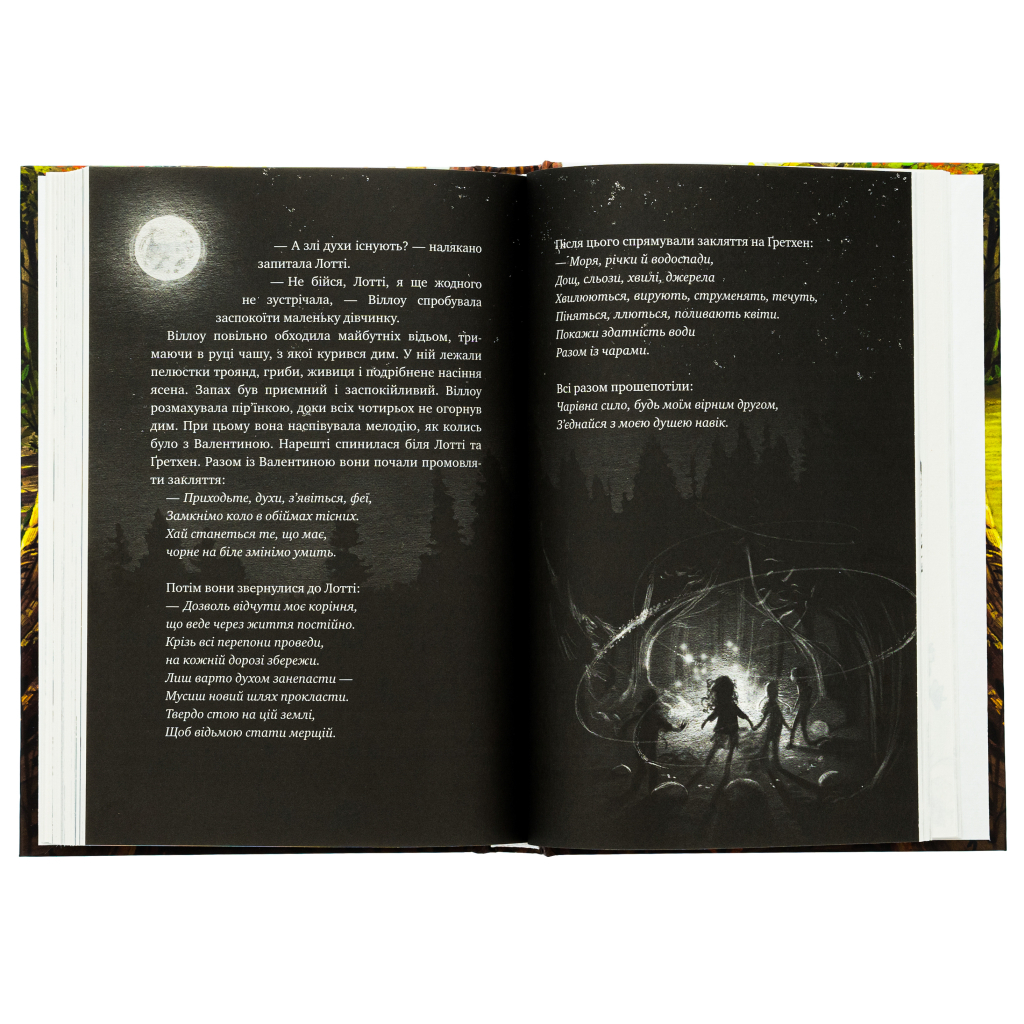 Книга Дівчинка на ім'я Віллоу - Забіне Больман КСД (9786175482544) - изображение 5