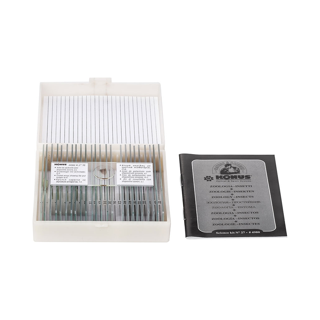 Набір мікропрепаратів Konus Загальна Біологія Зоологія, безхребетні і комахи 25 шт (4977) - picture 4