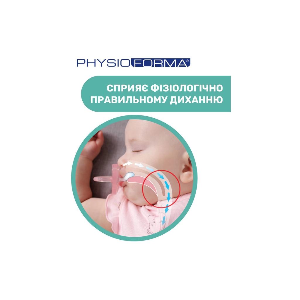 Пустушка Chicco Physio Comfort силіконова від 2 до 6 місяців 1шт. (блакитна) (74911.21.00) - зображення 7