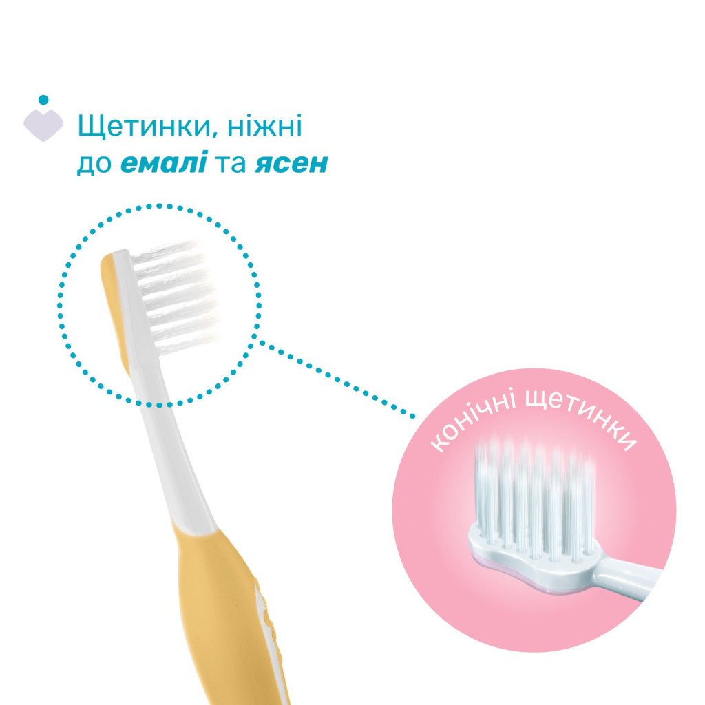 Дитяча зубна щітка Chicco для перших зубів, 6-36 міс., 2 шт. (8058664174713) (12082.11) - зображення 3