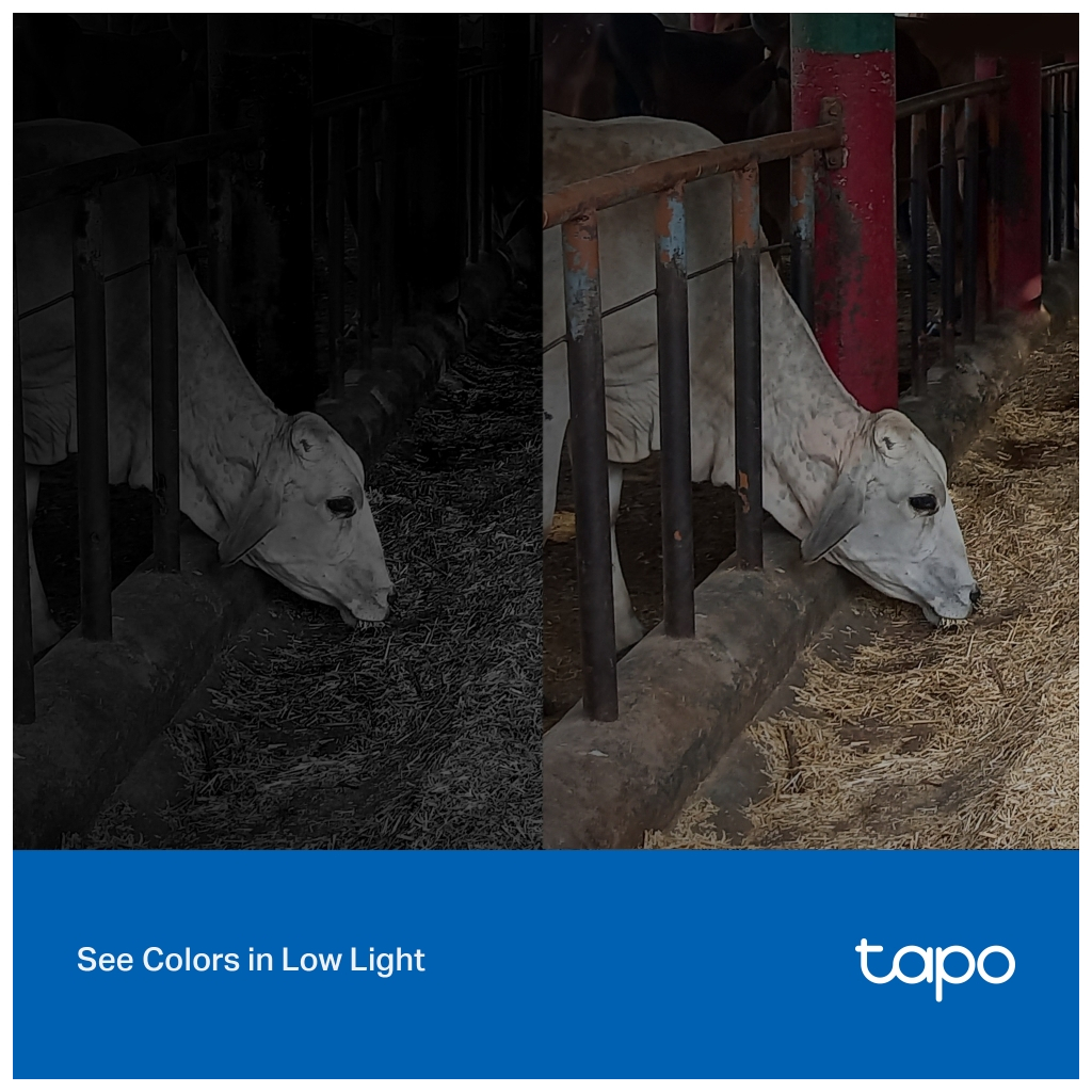 Камера відеоспостереження TP-Link TAPO-C320WS - зображення 9