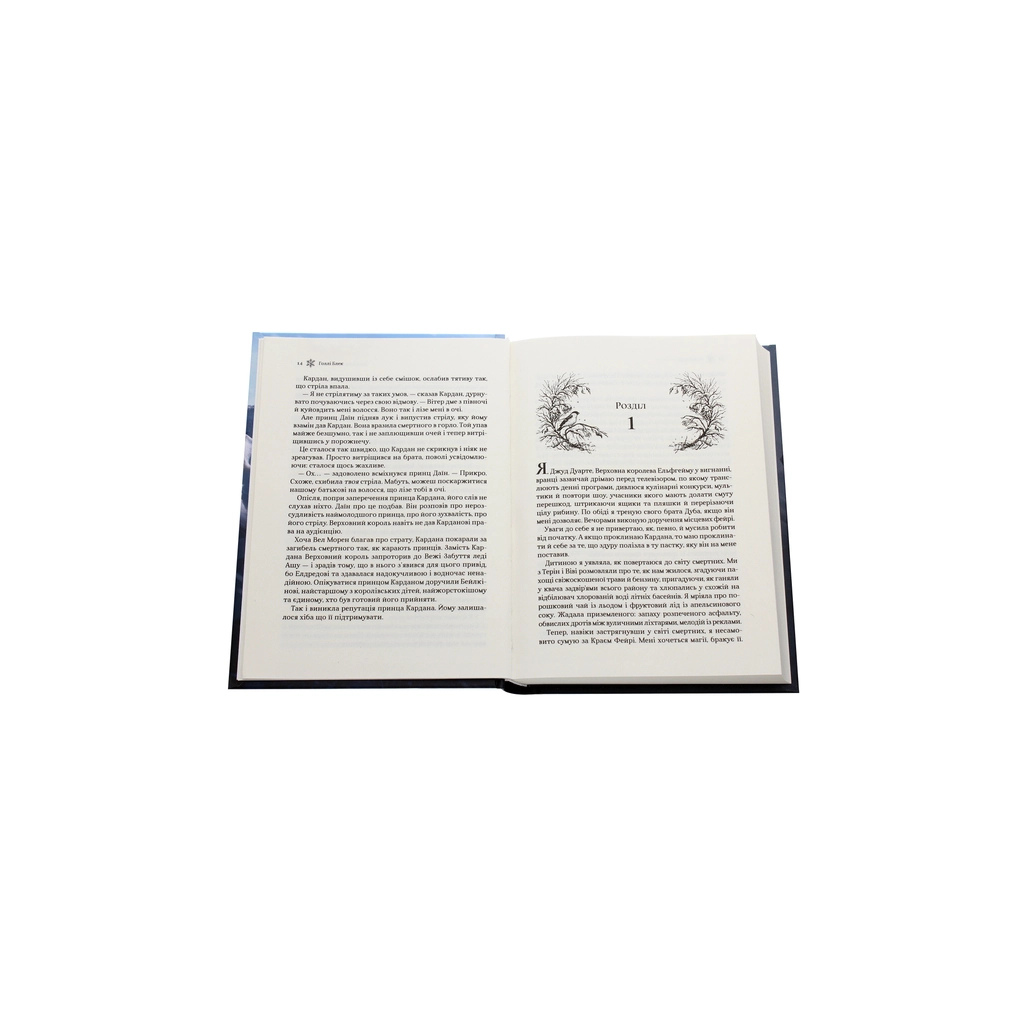 Книга Королева порожнечі - Голлі Блек Vivat (9789669822000) - зображення 4