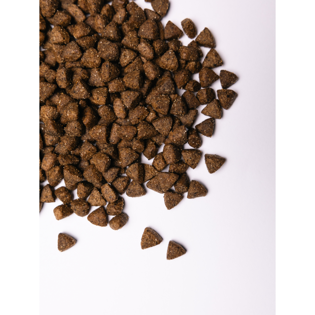 Сухий корм для собак Savory All Breed Sterilised rich in Fresh Turkey 12 кг (4820232631515) - зображення 3