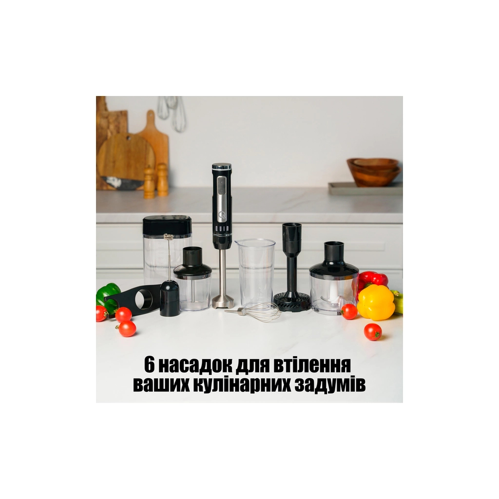 Блендер QUIN RHB-108SD-1 - изображение 3