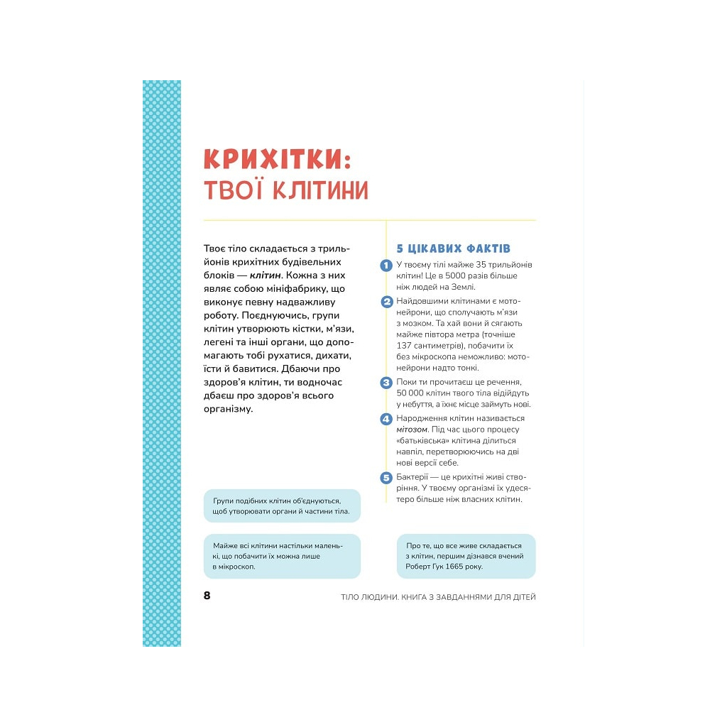 Книга Тіло людини. Розвивальні завдання для дітей - Кеті Стокс Vivat (9789669425218) - зображення 6