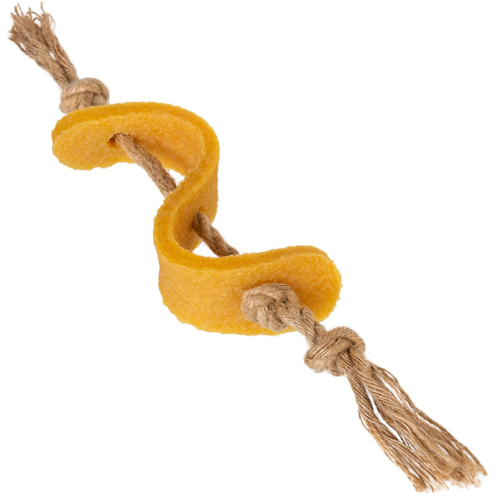 Іграшка для собак GiGwi Gum gum Долар 13.5 см (75344) - зображення 1