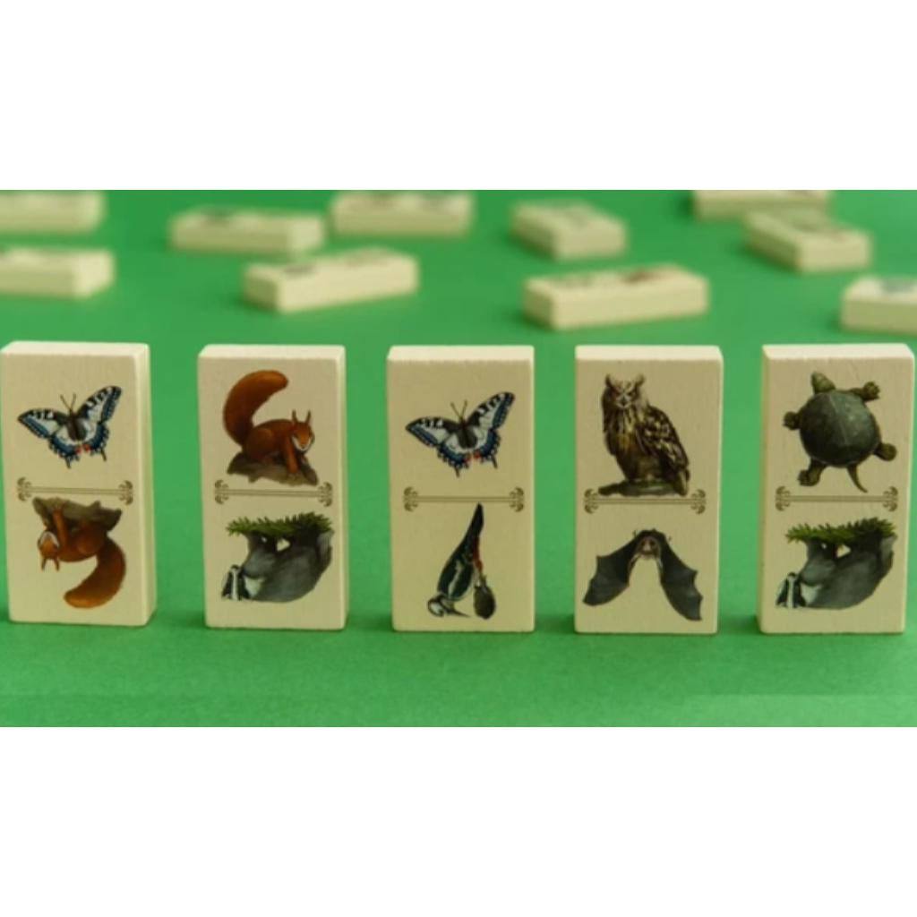 Настільна гра Capstone Games Renature (Розквіт), англійська (5060226932955) - зображення 3