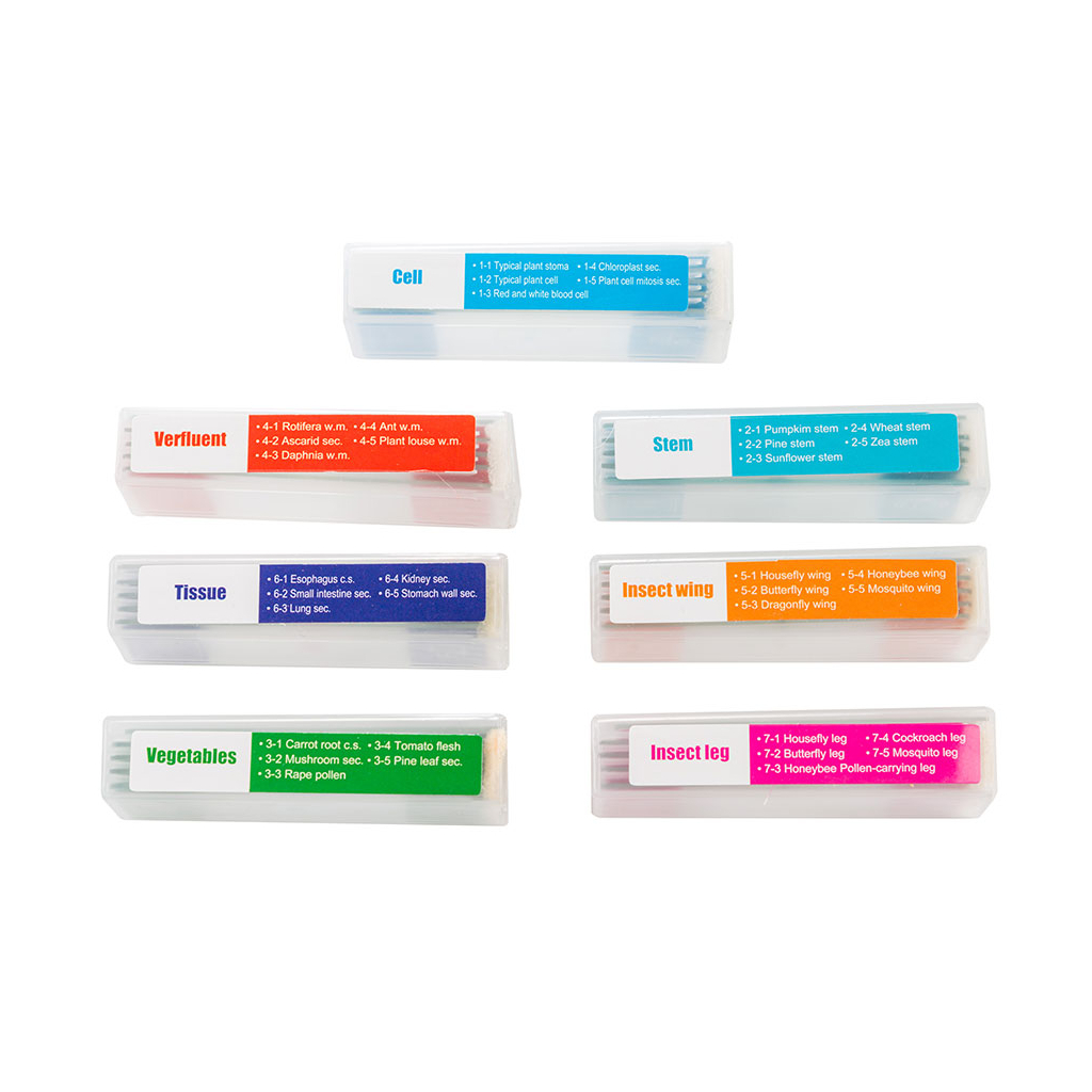 Набір мікропрепаратів Sigeta Biologist Set (35 шт) (65126) - picture 3