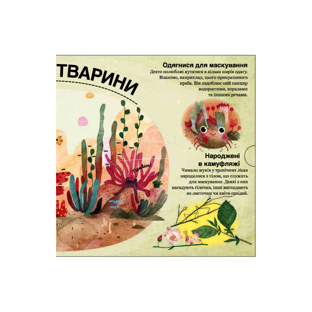 Книга Хто ховається між листям й у воді? - Павла Ганачкова #книголав (9786177563999) - зображення 5