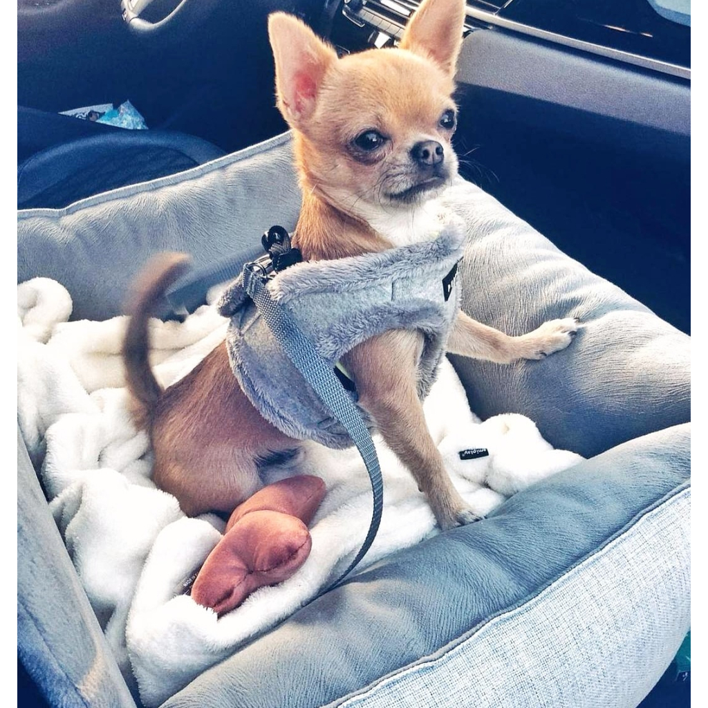 Автомобільне крісло для тварин Chloe's Home Paris M/L 65х45 см сіре (CLH1028) - зображення 2