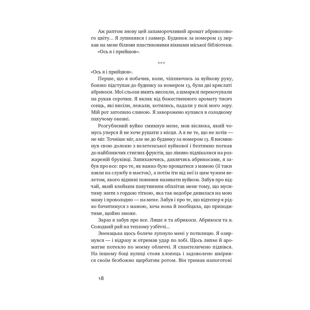 Книга Абрикосова книгарня - Ореста Осійчук Наш Формат (9786177866809) - зображення 14