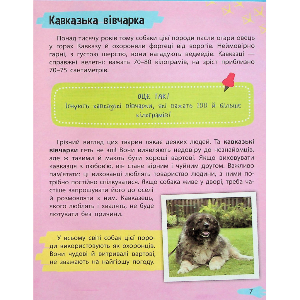 Книга Мініенциклопедія. Хатні улюбленці Vivat (9789669827241) - зображення 7