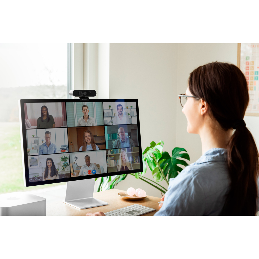 Веб-камера Sandberg Face-ID 2 HD 1080p Windows Hello USB-C/USB2.0 Black (134-40) - зображення 8