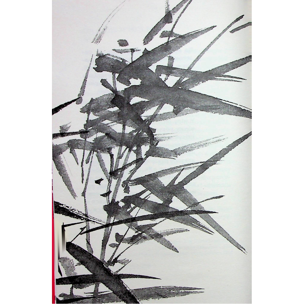 Книга Чорне біле - Дзюньтiро Танідзакi Астролябія (9786176642961) - зображення 3