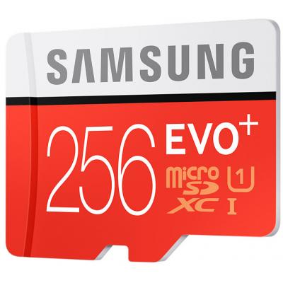 Карта пам'яті Samsung 256GB microSDXC class 10 UHS-I EVO PLUS (MB-MC256DA/RU) - зображення 3