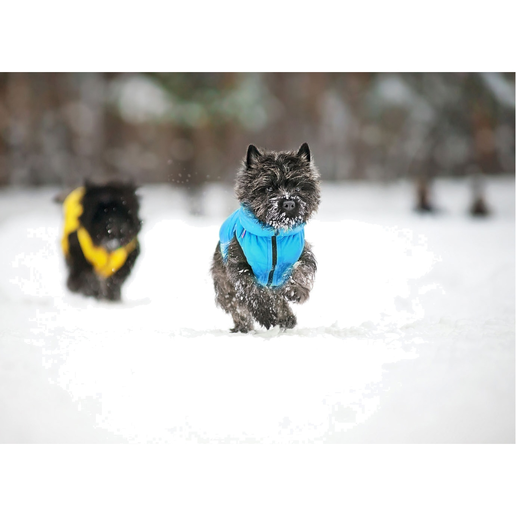 Курточка для тварин Collar AiryVest "Colors of freedom" L 65 (4450-4020) - изображение 7