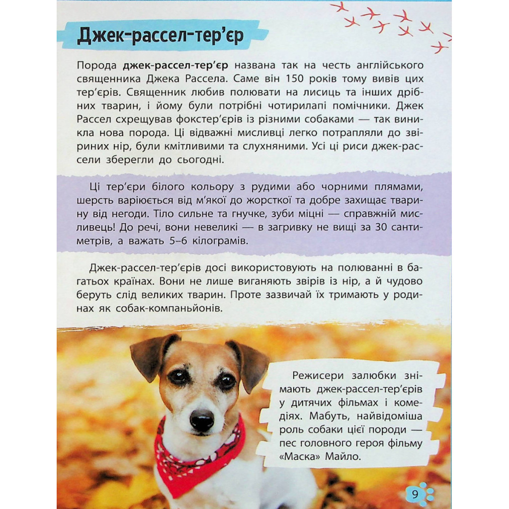 Книга Мініенциклопедія. Хатні улюбленці Vivat (9789669827241) - зображення 9