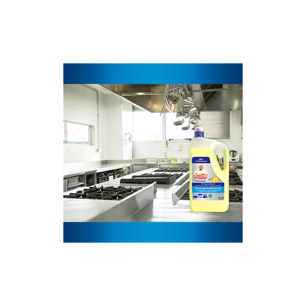 Засіб для миття підлоги Mr. Proper Professional Універсальний Лимон 5 л (8700216250313) - зображення 6