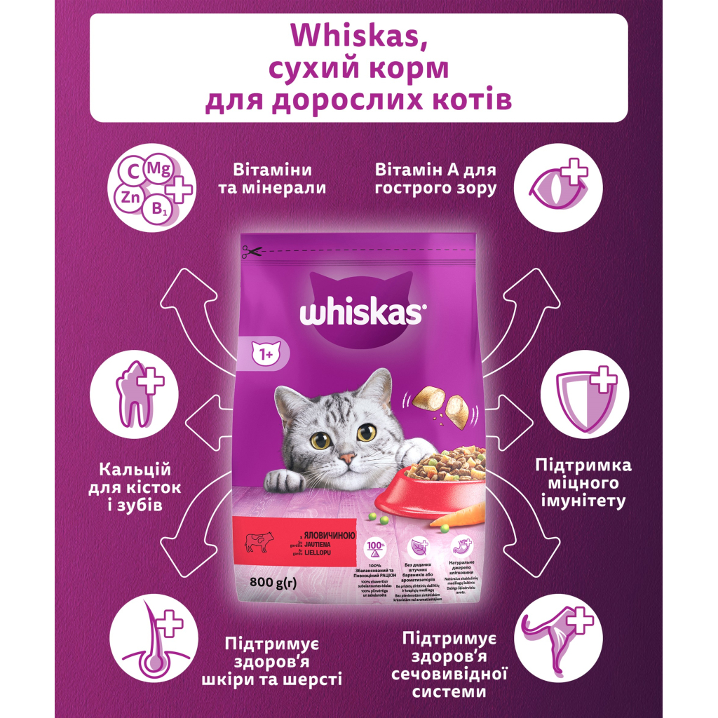 Сухий корм для кішок Whiskas з яловичиною 800 г (5998749144145) - зображення 2