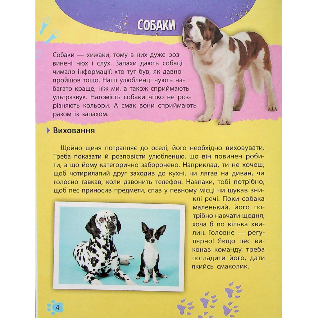 Книга Мініенциклопедія. Хатні улюбленці Vivat (9789669827241) - зображення 4