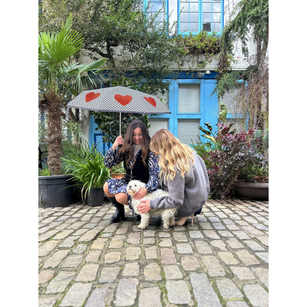 Парасоля Fulton L354-041697 Minilite-2 Love Heart Spot (L354-041697) - зображення 4