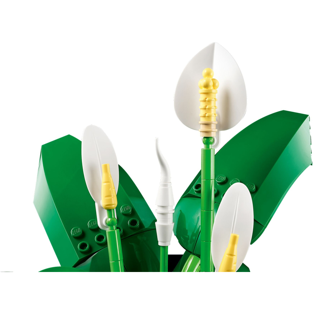 Конструктор LEGO Botanicals Спатифілум (11504) - зображення 3