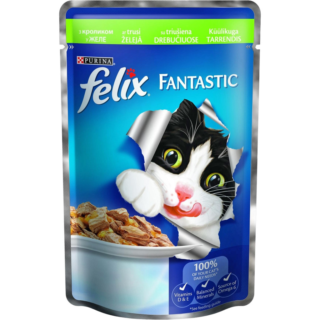 Вологий корм для кішок Purina Felix Fantastic в желе з кроликом 100 г (7613034442352) - зображення 1