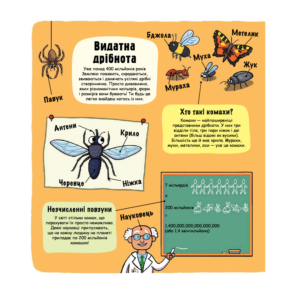 Книга Маленькі дослідники. Комашки #книголав (9786177563845) - зображення 4