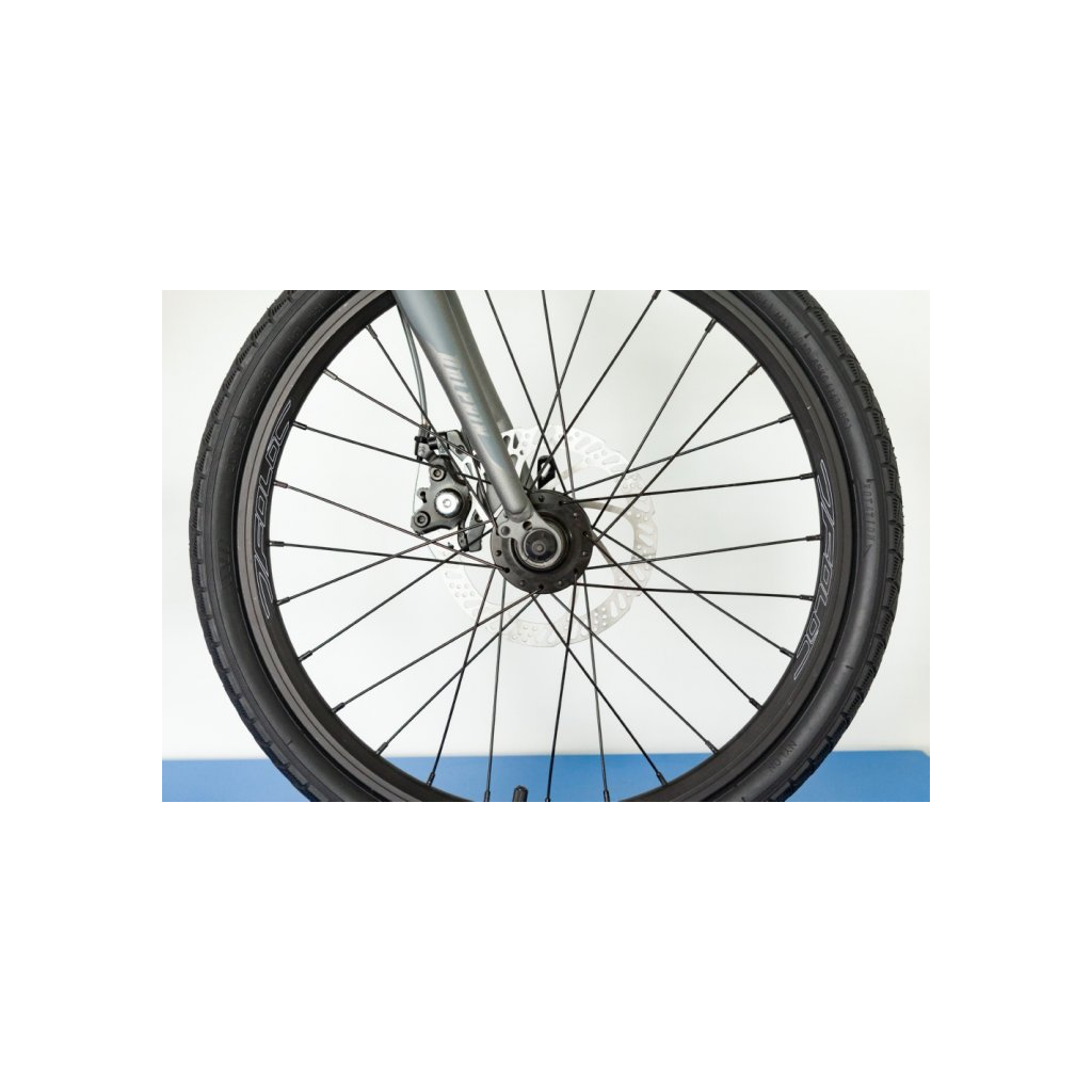 Велосипед Trinx Dolphin 1.0 20" Matt-Grey (DOL1.0MGG) - зображення 3