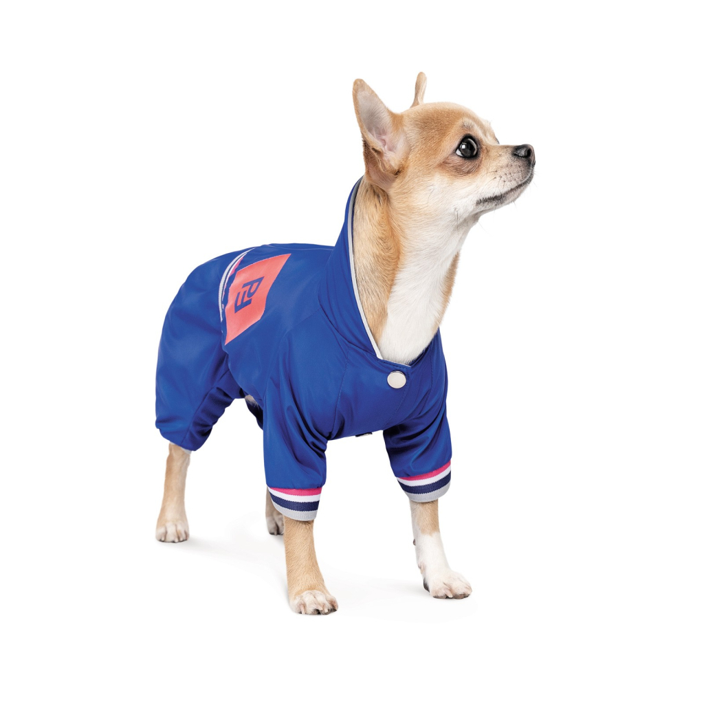 Дощовик для тварин Pet Fashion Silver M (4823082429943) - зображення 4