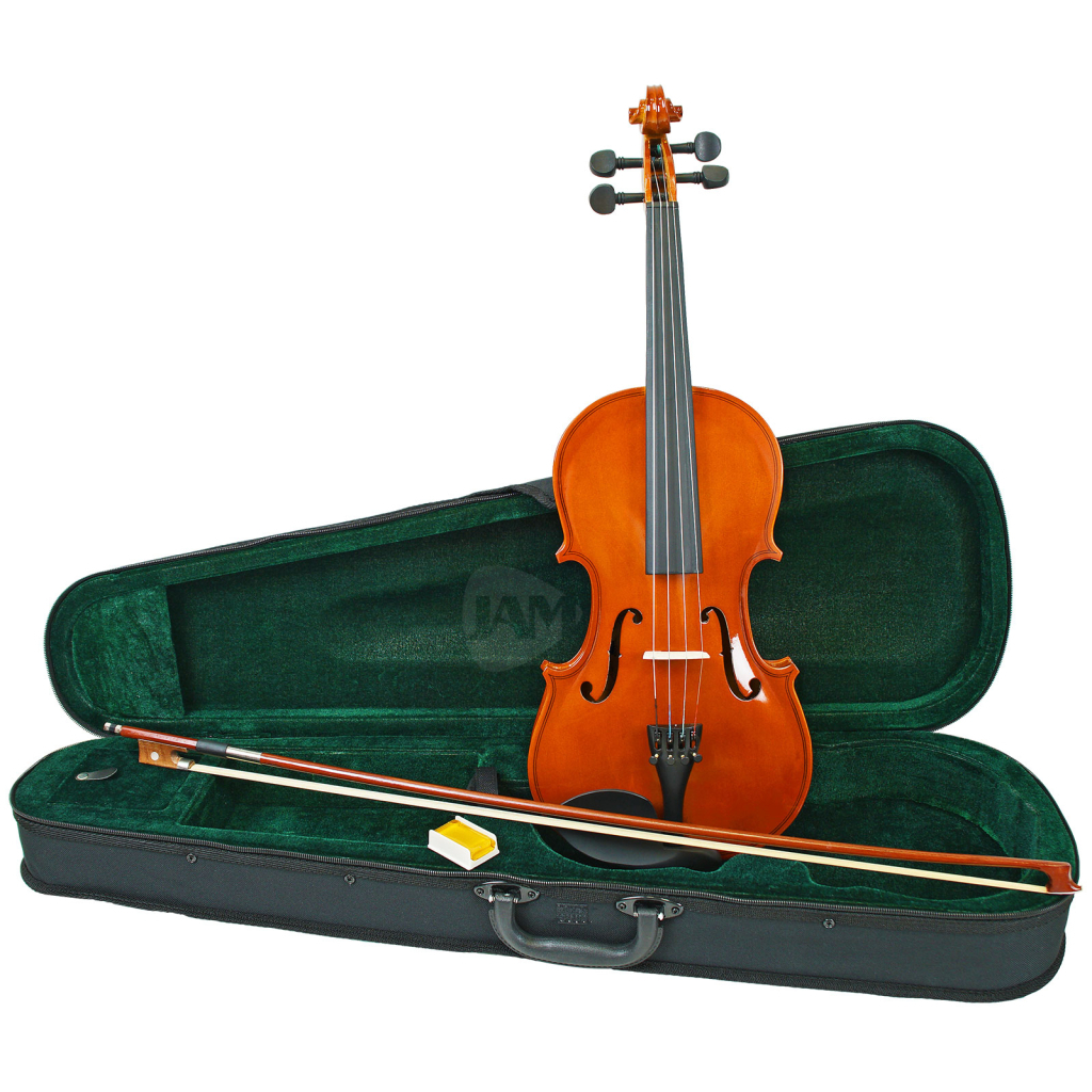 Скрипка Parksons CV101 4/4 - зображення 2