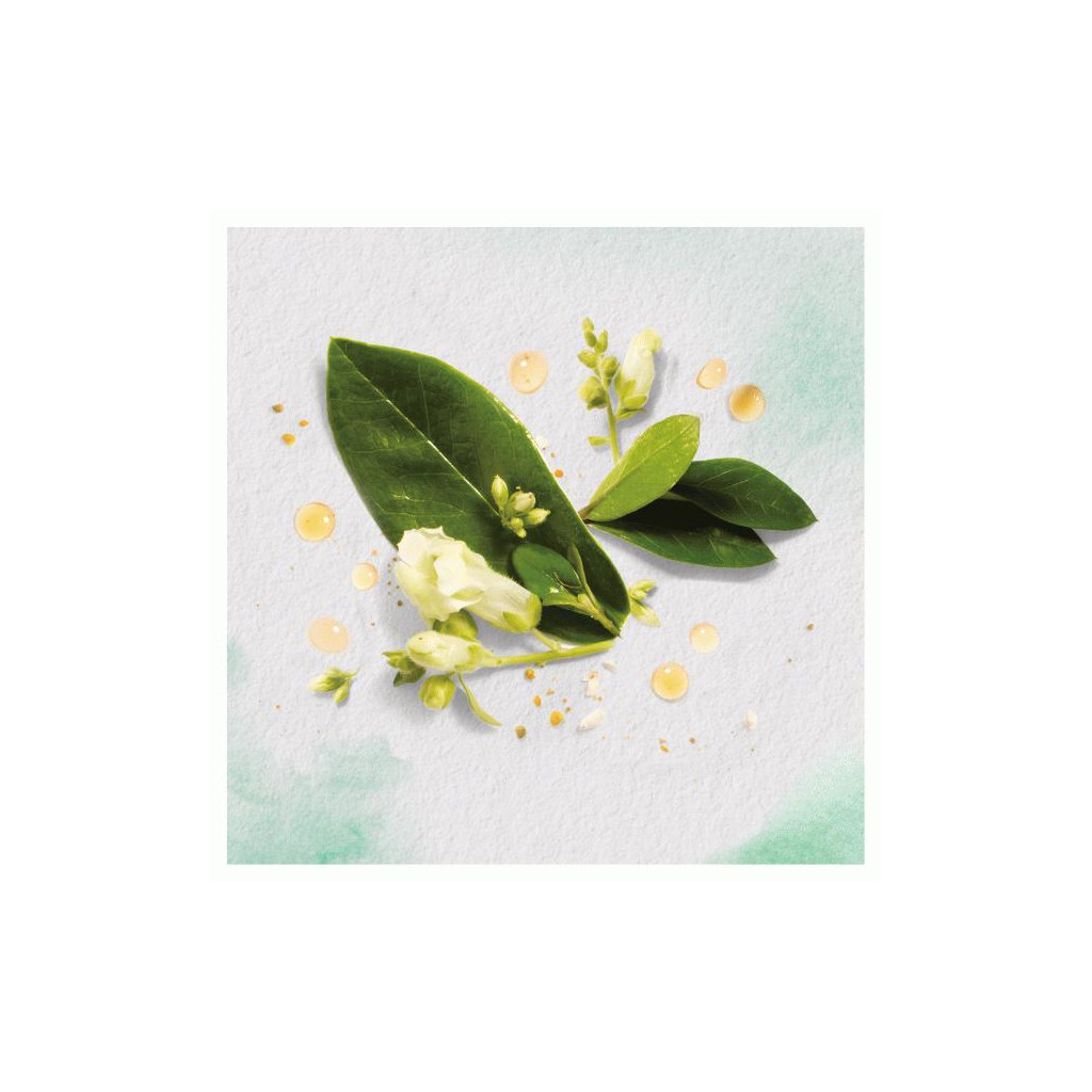 Шампунь Herbal Essences Олія моринги 400 мл (8001841434698) - зображення 2