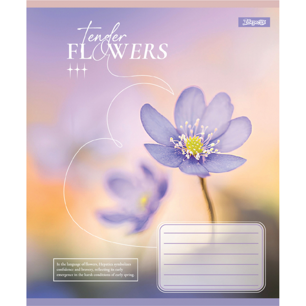 Зошит 1 вересня Tender Flowers А5 24 аркушів лінія (768077) - зображення 6