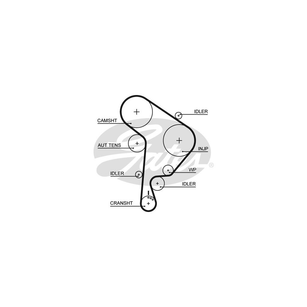 Ремінь ГРМ Gates 5559XS - зображення 1