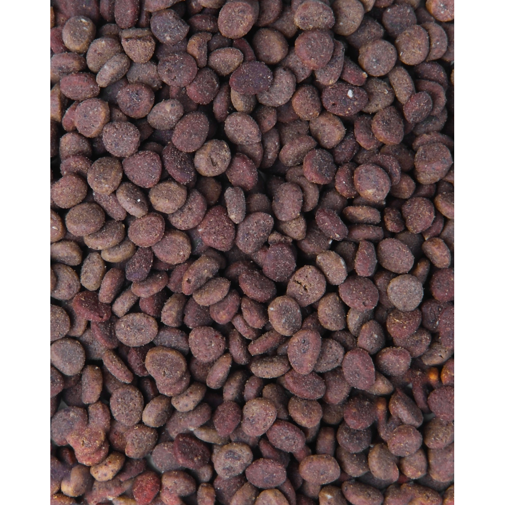 Сухий корм для кішок Carnilove True Fresh Cat Fish 340 г (8595602561414) - зображення 5