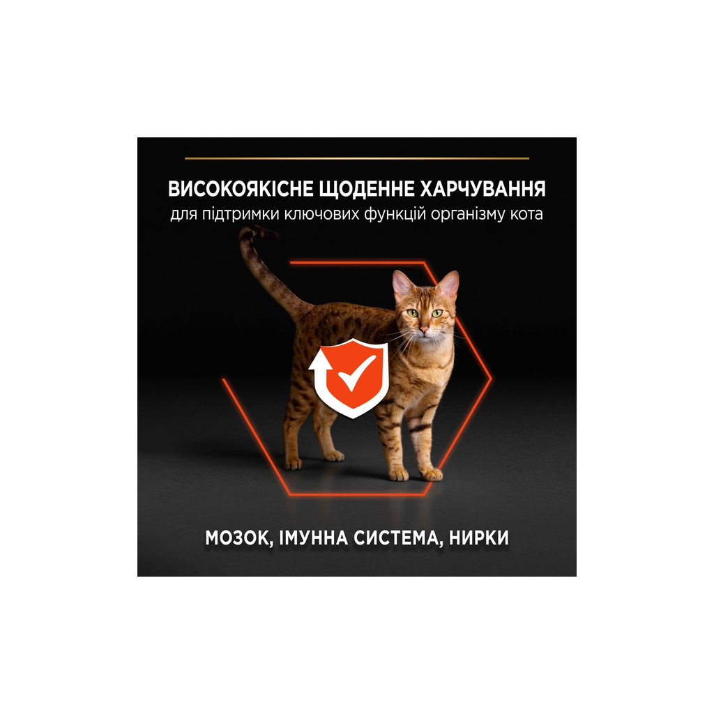 Сухий корм для кішок Purina Pro Plan Original з лососем 10 кг (7613036508315) - зображення 5